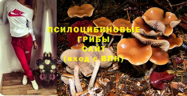 дживик Алзамай