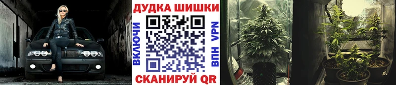 Конопля SATIVA & INDICA  Чаплыгин 